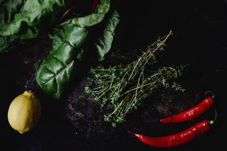 Thym : bienfaits, usages en cuisine et précautions