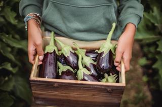 Aubergine : glucides, apports et bienfaits en cuisine