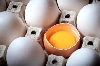 Alimentation VPO : besoins nutritionnels de l'adolescent
