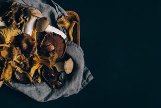 Les fibres des champignons : chitine, bêta-glucanes et transit
