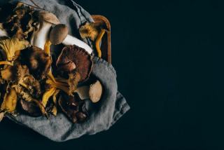 Champignons fibres solubles ou insolubles : guide alimentation