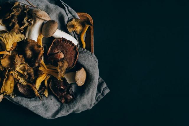 Champignons fibres solubles ou insolubles