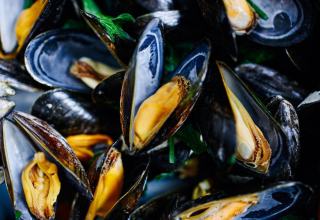 Moules fraîches et vivantes : choisir, cuire et déguster