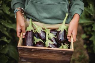 Aubergine glucides : guide nutrition : guide pratique