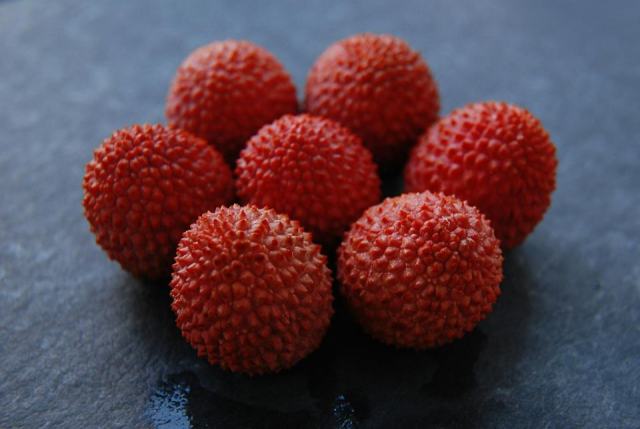 Ce que vous devez savoir sur saison des litchis et les litchis