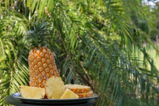 L'ananas fait il maigrir : guide nutrition : guide pratique
