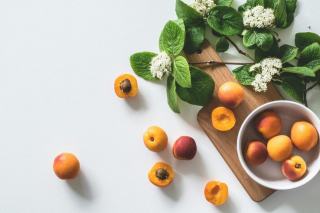 Mirabelle bienfait : guide nutrition : guide pratique