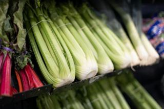 Cardon fibre : guide nutrition : conseils nutrition