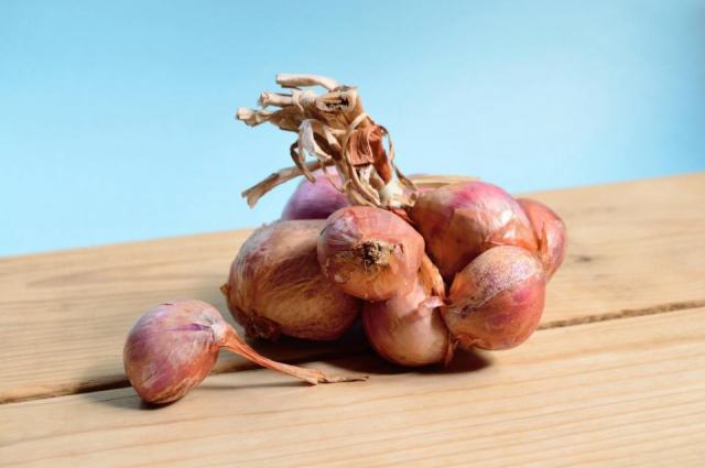 Ce que vous devez savoir sur maladie echalote et graines de tomates et intestin