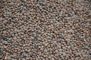 Lentilles digestion : guide nutrition : guide pratique