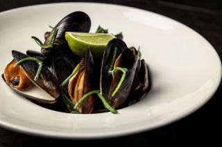 Bienfaits moules : guide nutrition : guide pratique