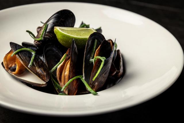 Ce que vous devez savoir sur bienfaits moules et cardon bienfaits