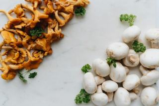 Champignons : apports nutritionnels, variétés et cuisson