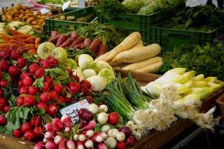 Endives fibres : guide nutrition : conseils nutrition