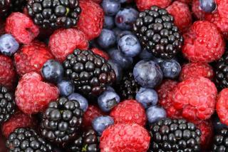 Polyphénol bienfaits : guide nutrition : guide pratique